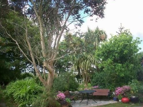 Kilcommon Lodge Holiday Hostel - Photo3