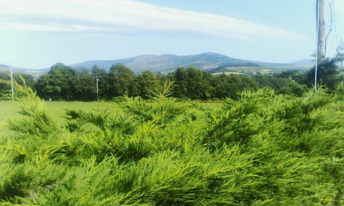 Homestay - Discover the real Ireland - Photo2