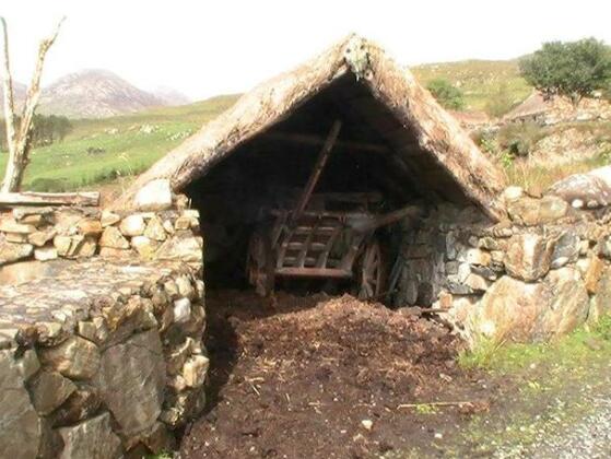 Dan O'Hara's Farmhouse Clffden - Photo5