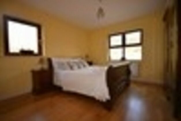 Homestay - Quiet area in scenic Dingle - Photo5