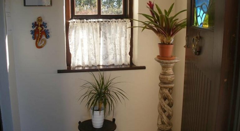 Doolin Cottage B&B - Photo4