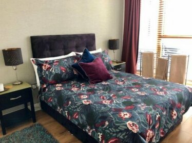 Deluxe Double Room in Modern B&B Apartment close to RDS & Dublin Centre