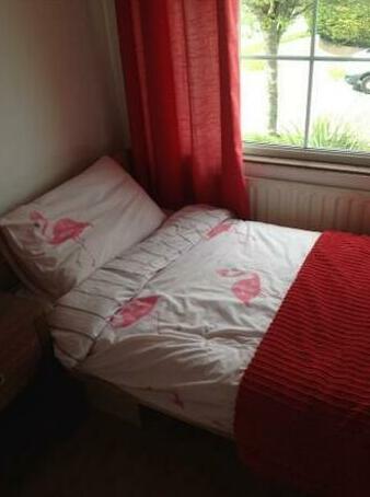Homestay Friendly Accommodation To Let