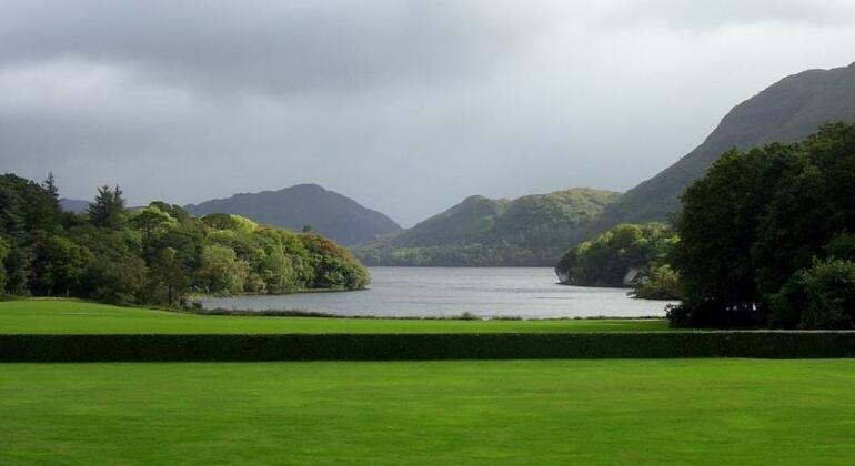 Copper Kettle B&B Killarney - Photo4