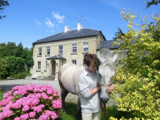 Mountpleasant Country House - Photo2