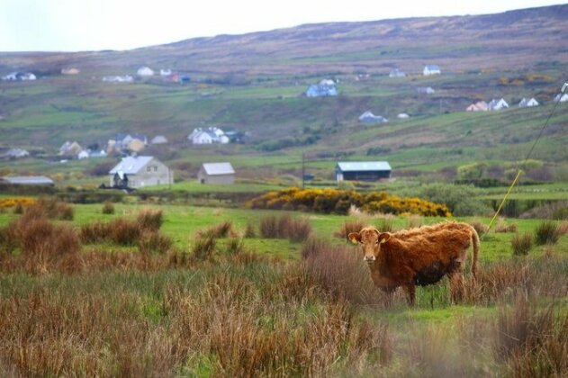 Fernhill Farmhouse B&B - Photo5