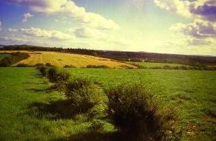 Cedar Lodge Hotel - Ireland - Photo4