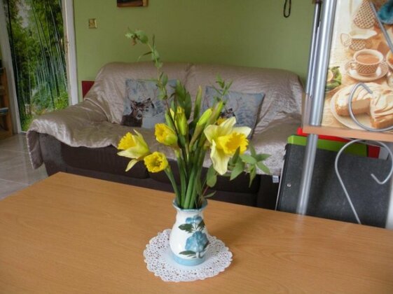Homestay - Friendly Country Cottage with Pets - Photo2