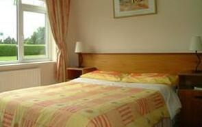 Carnlea House Bed & Breakfast Patrickswell - Photo3