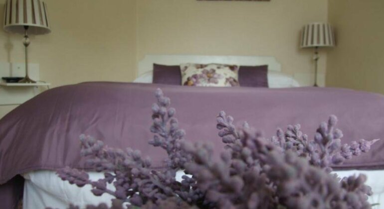 Oaklodge B&B - Photo5