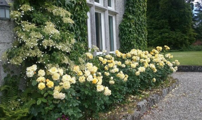 Courtyard Cottage Rathvilly - Photo2