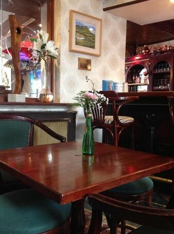 Templemore Arms Hotel - Photo3