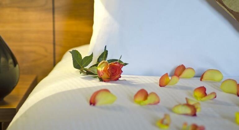 Westport Country Lodge Hotel - Photo5