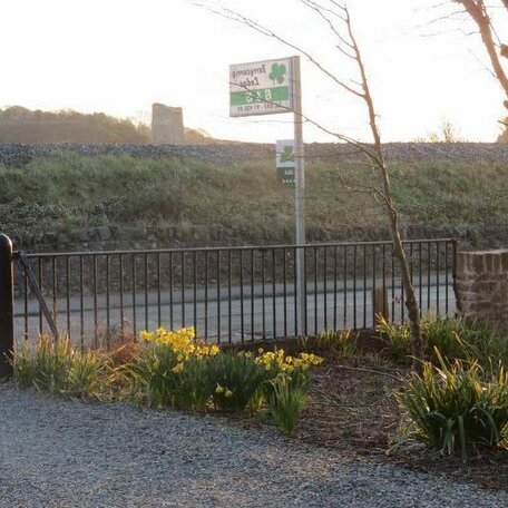 Ferrycarrig Lodge B&B - Photo2