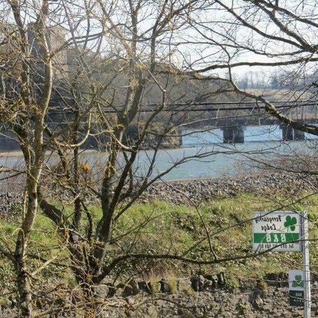 Ferrycarrig Lodge B&B - Photo3