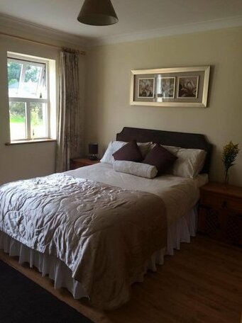 Homestay - Easy-going