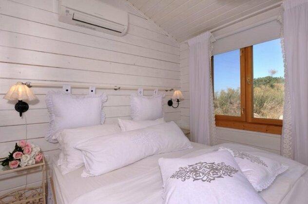 Ziv's White Cabin - Photo4