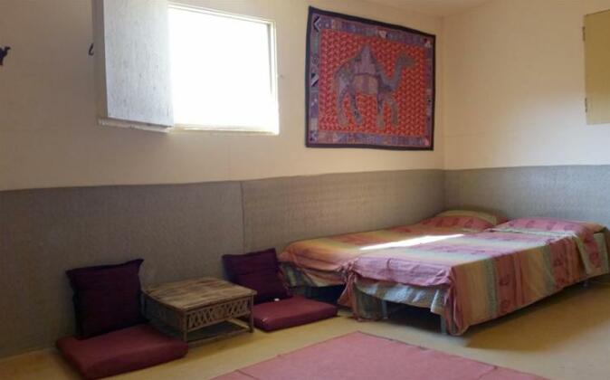 Negev Camel Ranch - Photo2