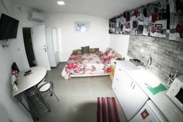 The Rosen's studio Place - Photo2