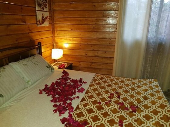Wooden house in Eilat - Photo3