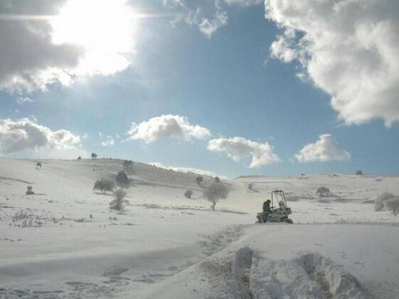 Orna's Zimer - Photo5