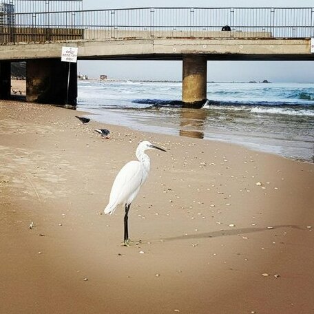 Lovely Apartment Close to the Beach - Photo2