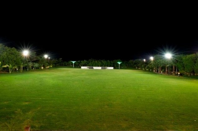 Paradizzo Resort - Photo5