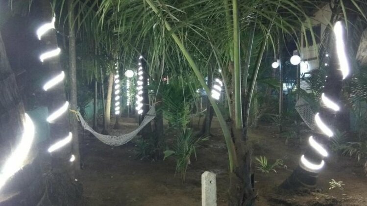 Crazy Coconut - A Backpacker Hostel - Photo3