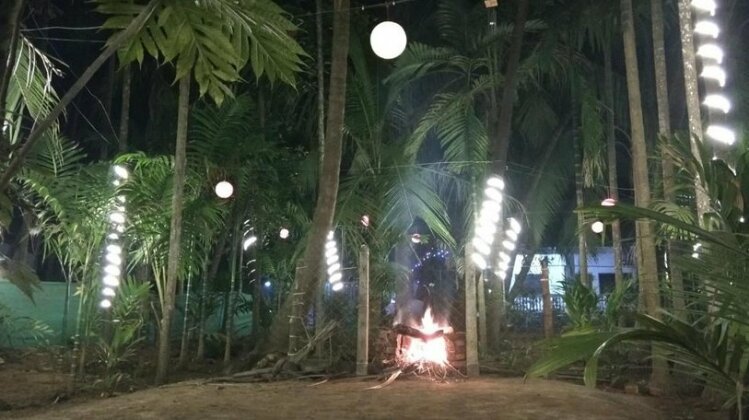 Crazy Coconut - A Backpacker Hostel - Photo4