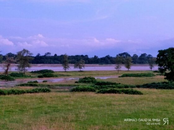 Chilapata jungle Resort - Photo3