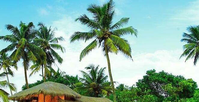 Colonels Beach Villa - Photo3
