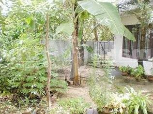 Diana Home Stay - Photo3