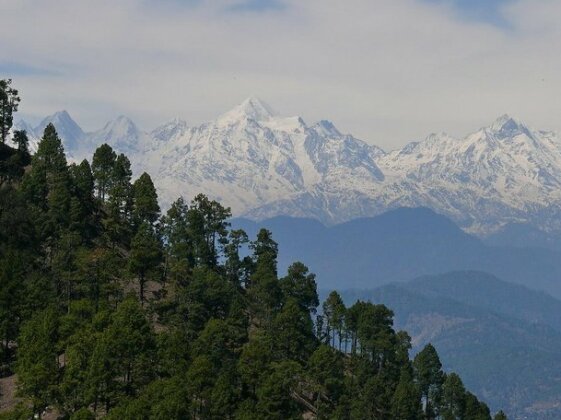 AyurVAID Kalmatia - Photo5