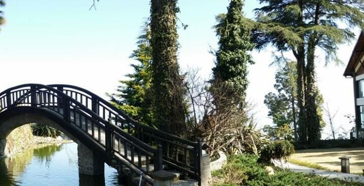 Imperial Heights Almora - Photo4