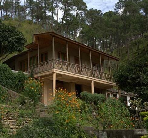 Woods Resort