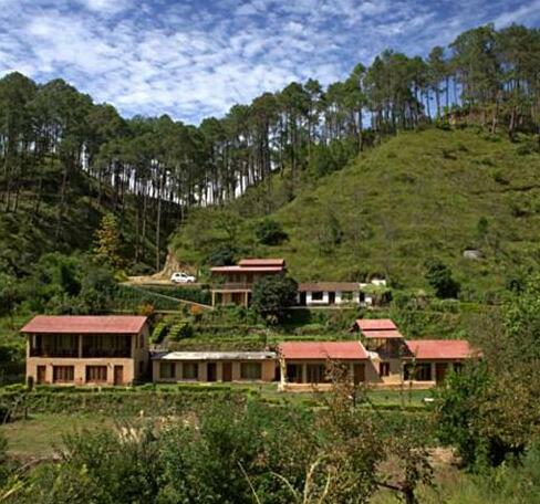 Woods Resort - Photo2