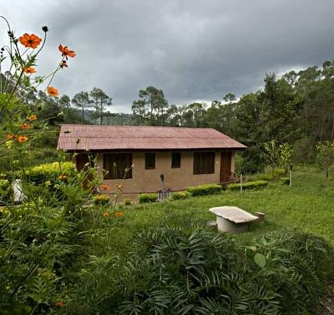 Woods Resort - Photo3
