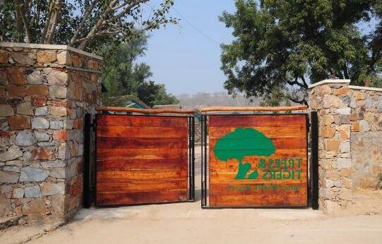 Trees N Tiger Sariska - Photo3