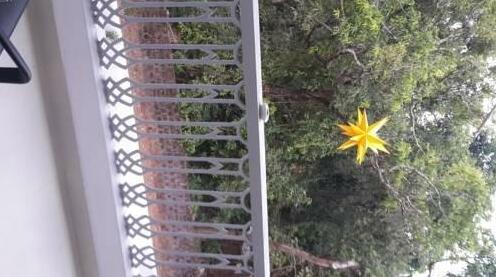 Anjuna Plaza - Photo5