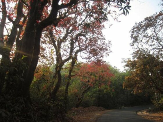 Suryodaya Nature Retreat - Photo5