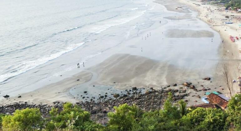 Negi Beach Huts - Photo2