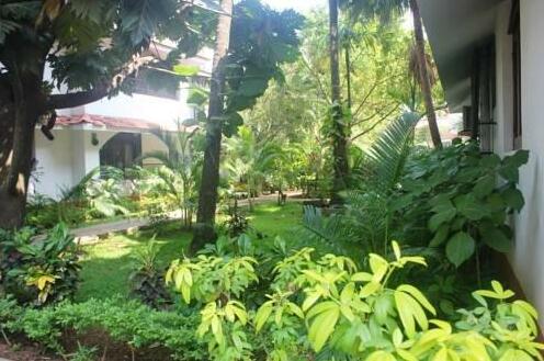 Las Palmas Arpora - Photo2
