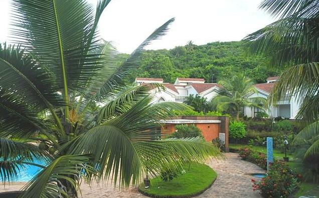 Pool Facing Apartment in Arpora 1107 - Photo2