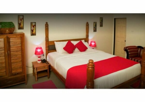 Room in the Heart of Goa - Photo2