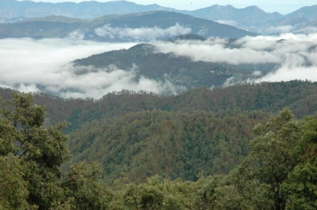 Binsar Forest Retreat - Photo5