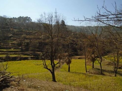 Kumaoun Village Home Stay - Photo3