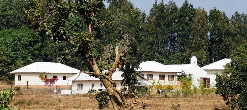 Bagh Tola - Photo5