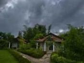 Chitvan Jungle Lodge - Photo2