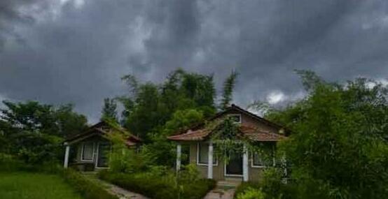 Chitvan Jungle Lodge - Photo3