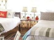 Abhaneri Village Safari Camp - Photo2